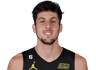 Leandro Bolmaro