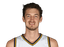 Tibor Pleiss