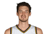 Tibor Pleiss
